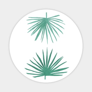 Petticoat Palms Magnet